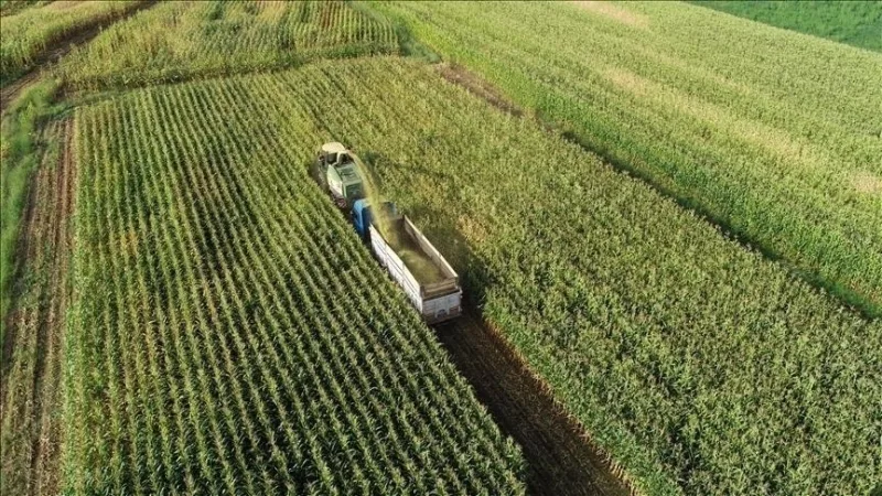 Tarım arazilerinin korunması ve kullanılmasına ilişkin esaslar düzenlendi